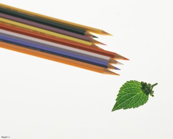 مداد رنگی ها